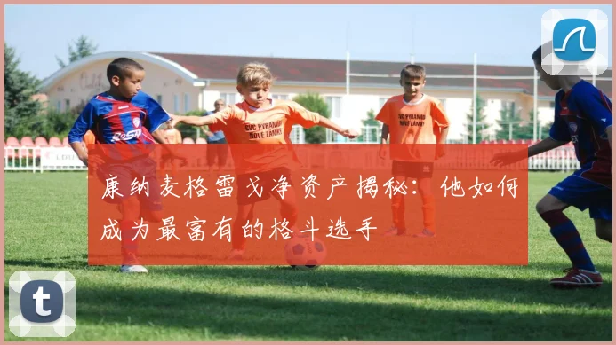 康纳麦格雷戈净资产揭秘:他如何成为最富有的格斗选手
