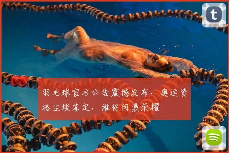 羽毛球官方公告震撼发布，奥运资格尘埃落定，谁将问鼎荣耀